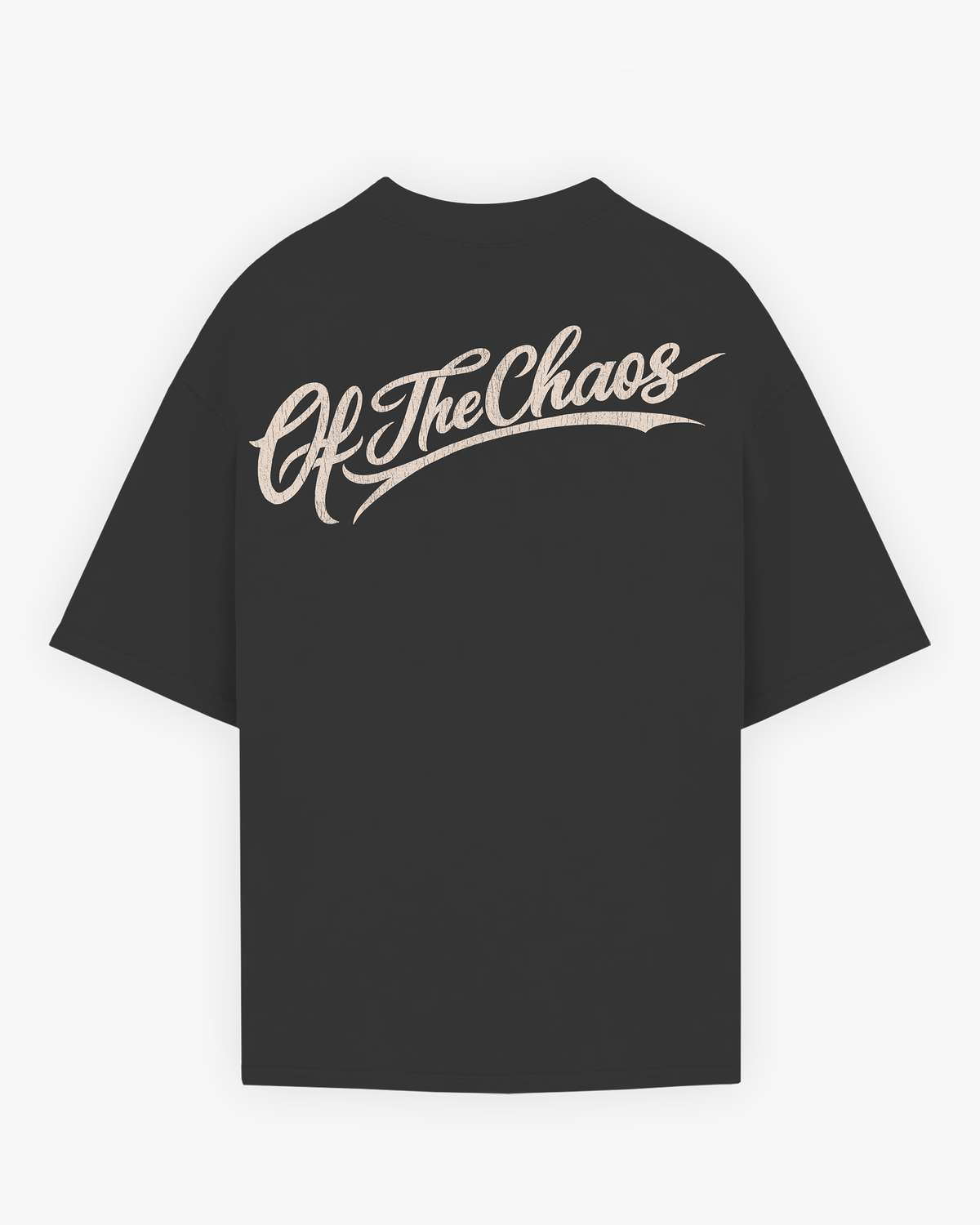 DISGUISE T-SHIRT - GREY