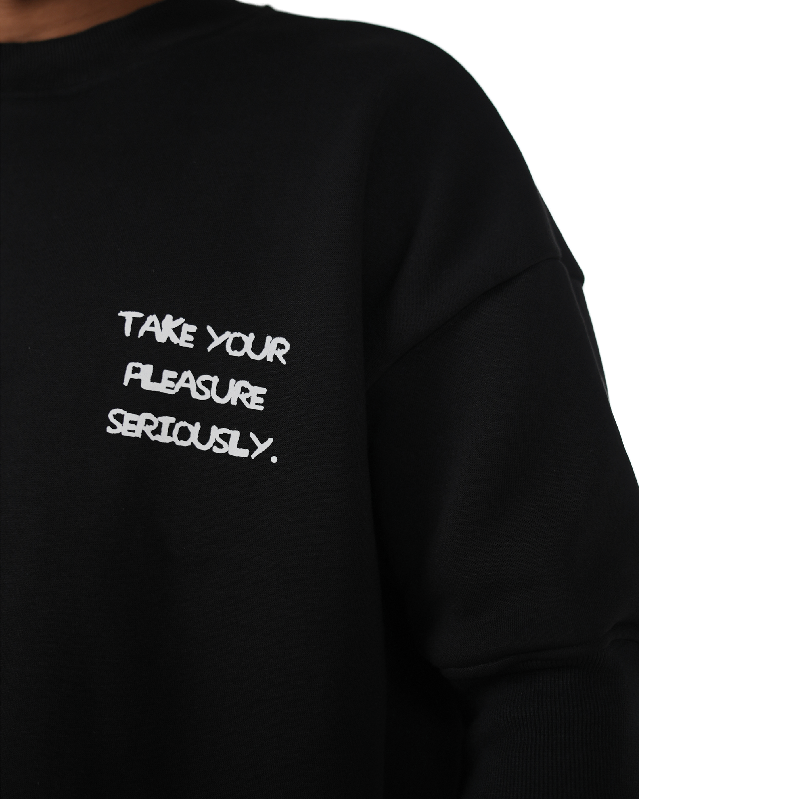 Take Your Pleasure Seriously Sweatshirt